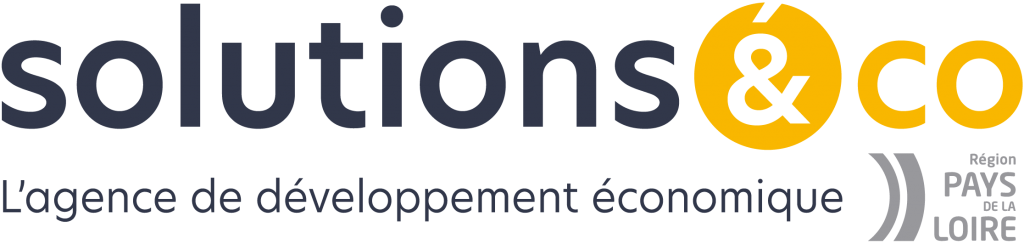 Solutions & Co