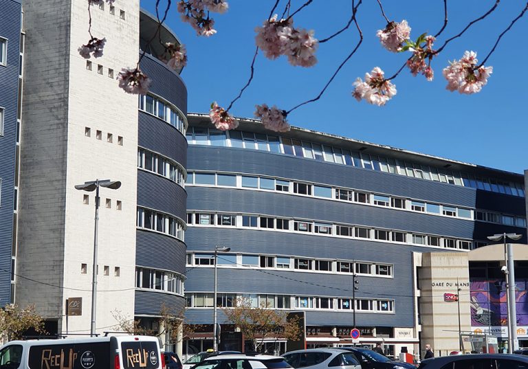 AH Visuel avec arbre 1 768x537