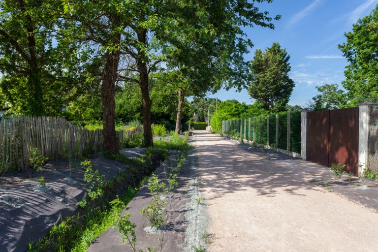 Waap Cenovia ZACFouillet 003 768x512