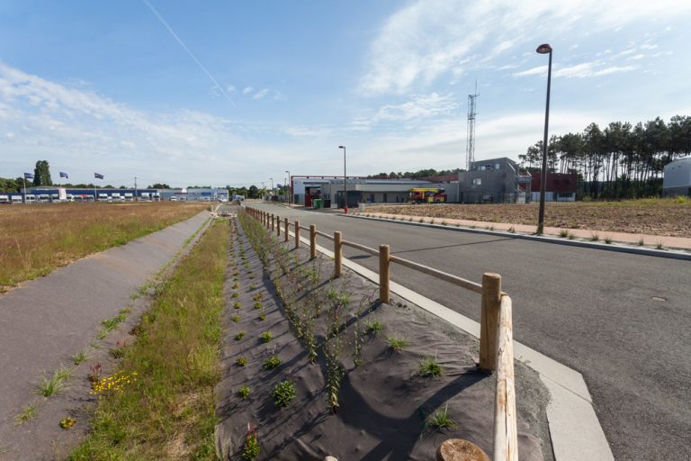 Waap Cenovia ZACFouillet 010 768x512