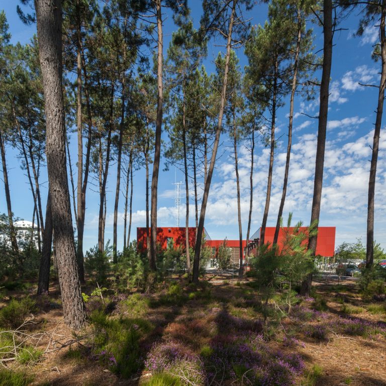 Waap Cenovia ZACFouillet 015 768x768