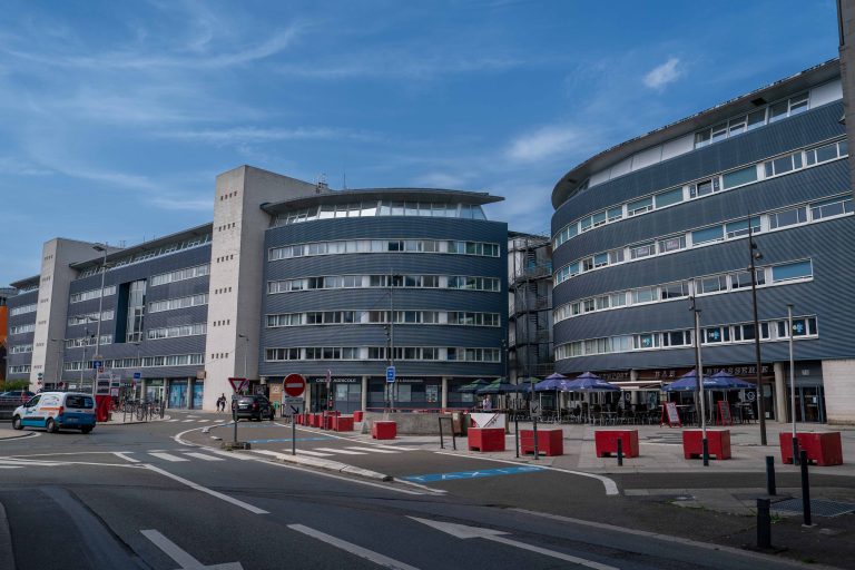 lm 0131134 4 768x512